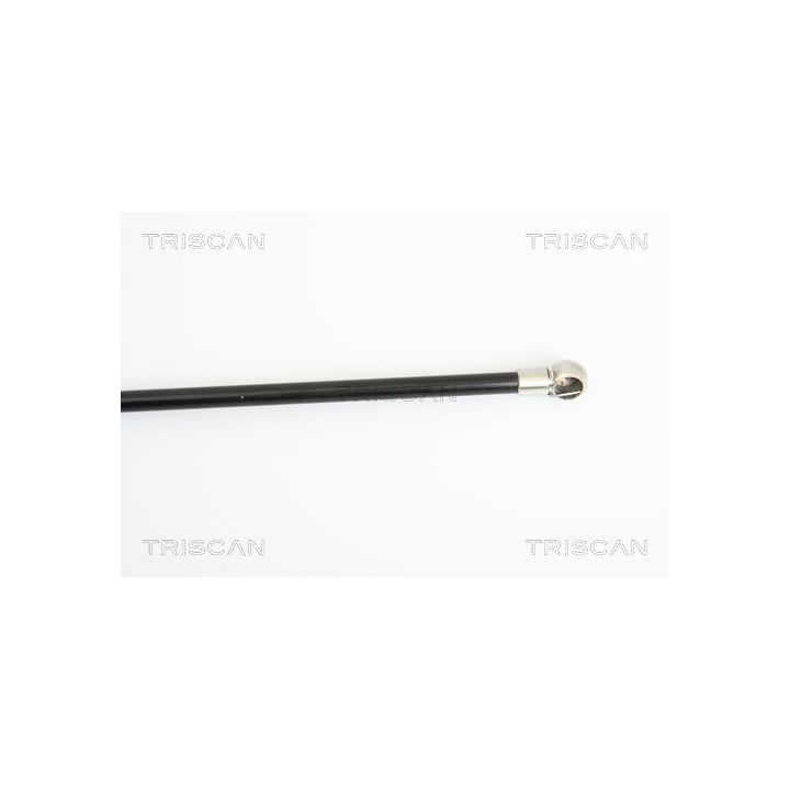 Dujinė spyruoklė, bagažinė TRISCAN 8710 25229