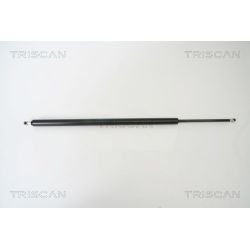 Dujinė spyruoklė, bagažinė TRISCAN 8710 25230