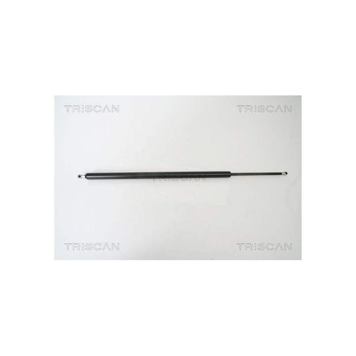 Dujinė spyruoklė, bagažinė TRISCAN 8710 25230