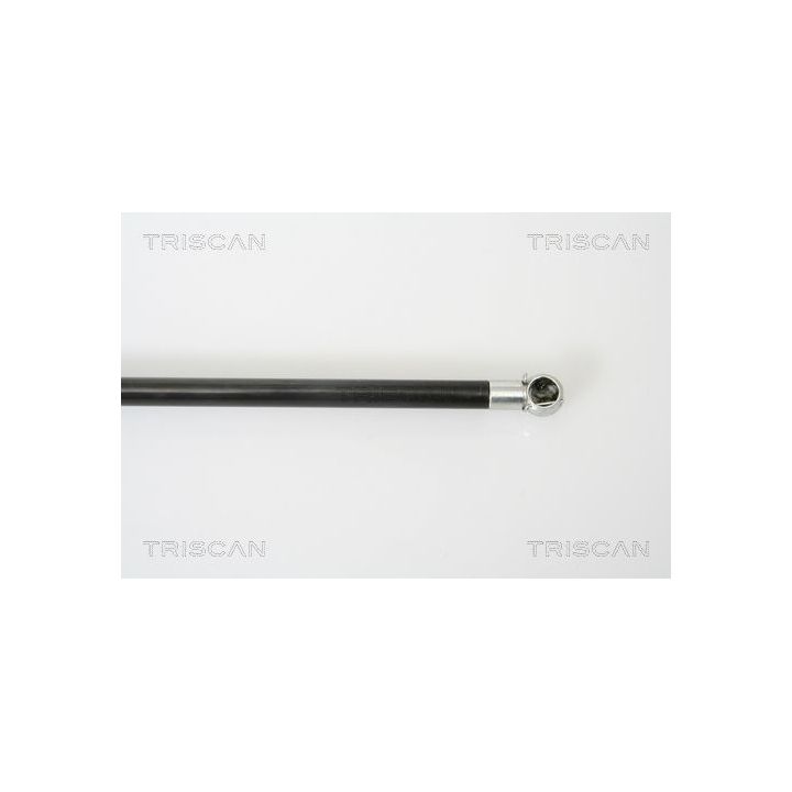 Dujinė spyruoklė, bagažinė TRISCAN 8710 25230