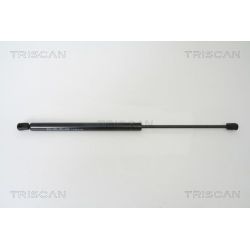 Dujinė spyruoklė, bagažinė TRISCAN 8710 25232