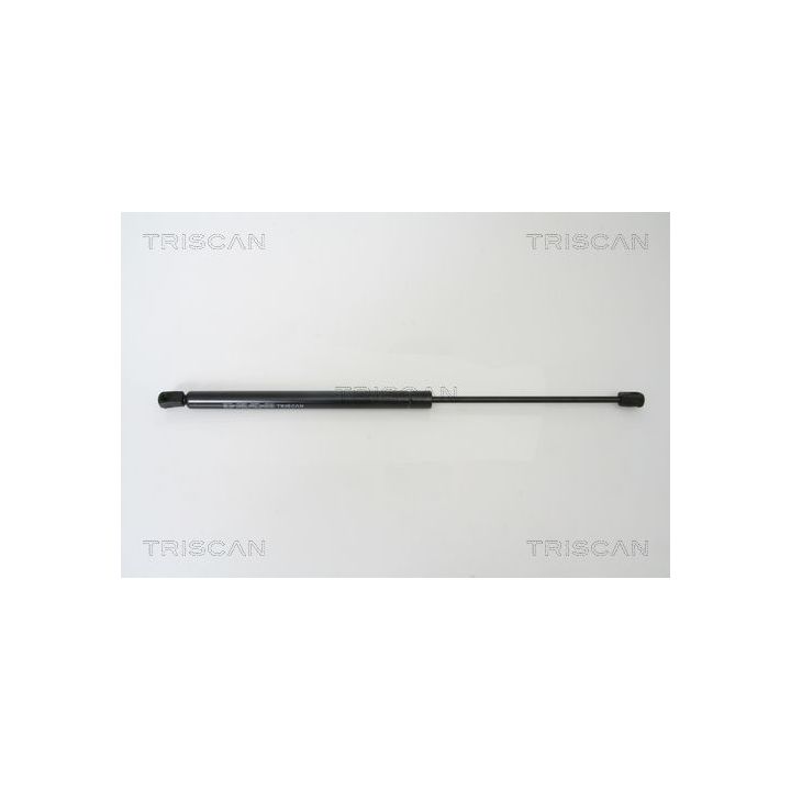 Dujinė spyruoklė, bagažinė TRISCAN 8710 25232