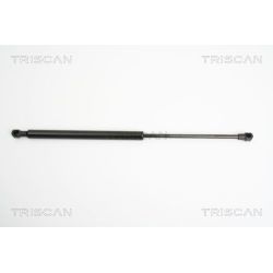 Dujinė spyruoklė, bagažinė TRISCAN 8710 25234