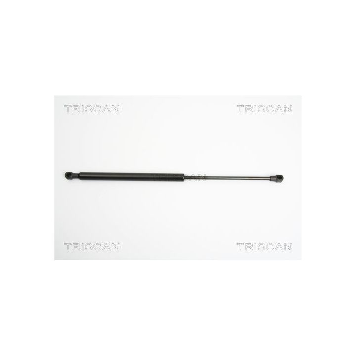 Dujinė spyruoklė, bagažinė TRISCAN 8710 25234