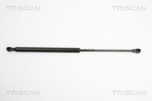 Dujinė spyruoklė, bagažinė TRISCAN 8710 25234