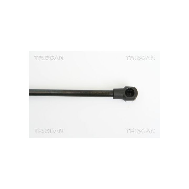 Dujinė spyruoklė, bagažinė TRISCAN 8710 25234