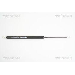 Dujinė spyruoklė, bagažinė TRISCAN 8710 25236