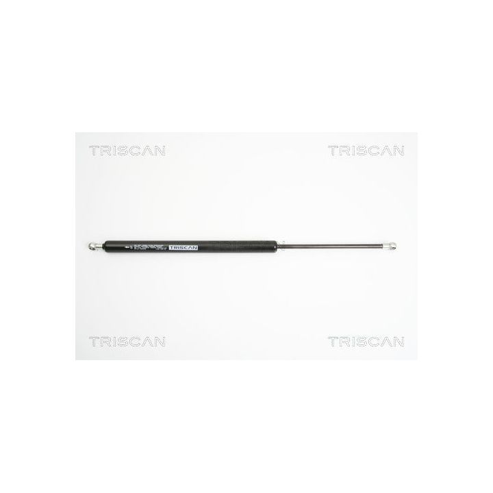 Dujinė spyruoklė, bagažinė TRISCAN 8710 25236