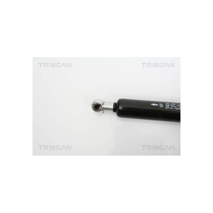 Dujinė spyruoklė, bagažinė TRISCAN 8710 25236