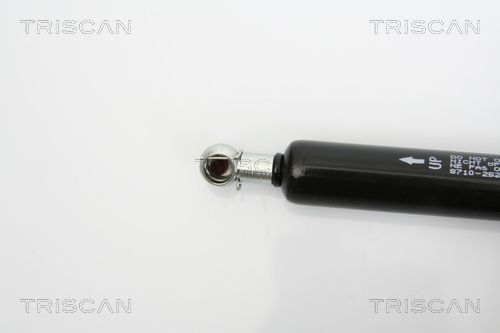 Dujinė spyruoklė, bagažinė TRISCAN 8710 25236