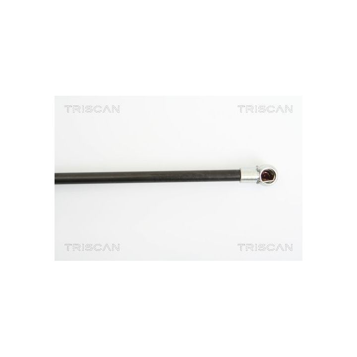 Dujinė spyruoklė, bagažinė TRISCAN 8710 25236