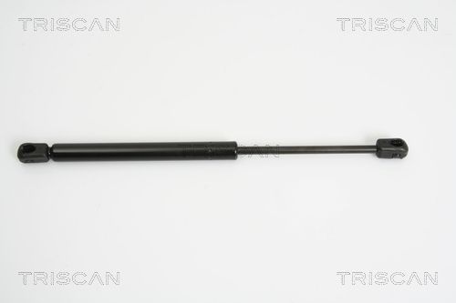 Dujinė spyruoklė, bagažinė TRISCAN 8710 25237