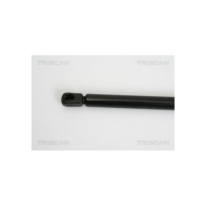 Dujinė spyruoklė, bagažinė TRISCAN 8710 25237