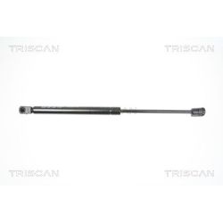 Dujinė spyruoklė, bagažinė TRISCAN 8710 25238