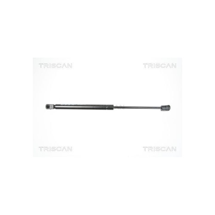 Dujinė spyruoklė, bagažinė TRISCAN 8710 25238