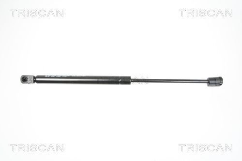 Dujinė spyruoklė, bagažinė TRISCAN 8710 25238