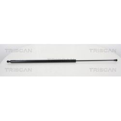 Dujinė spyruoklė, bagažinė TRISCAN 8710 25239