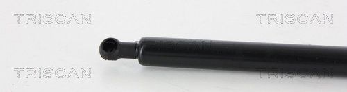 Dujinė spyruoklė, bagažinė TRISCAN 8710 25239