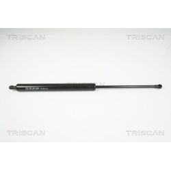 Dujinė spyruoklė, bagažinė TRISCAN 8710 25240