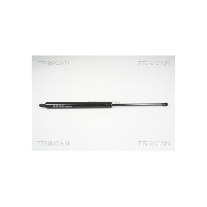 Dujinė spyruoklė, bagažinė TRISCAN 8710 25240