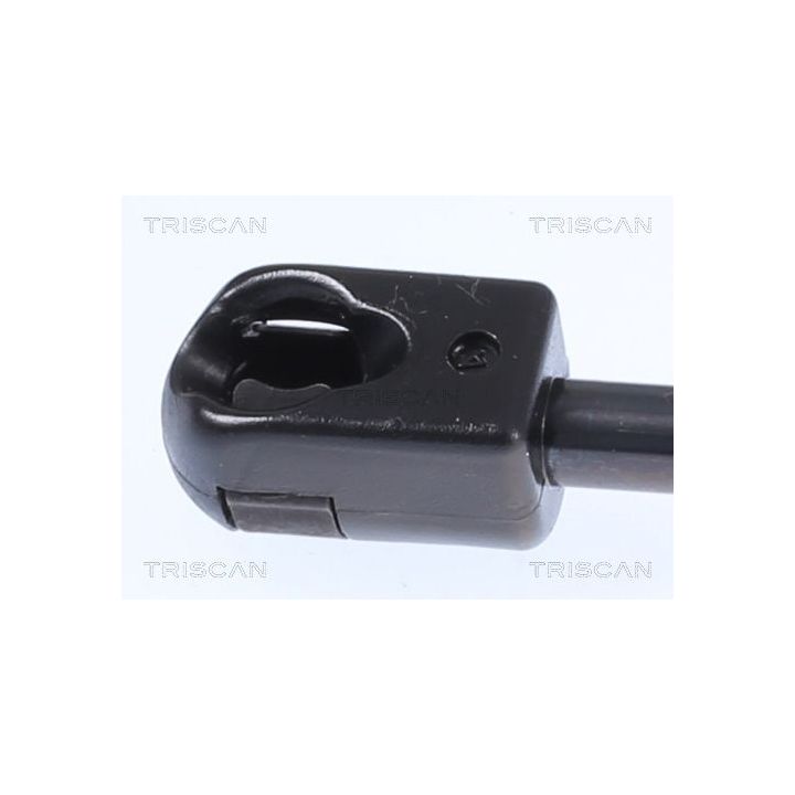 Dujinė spyruoklė, bagažinė TRISCAN 8710 25242