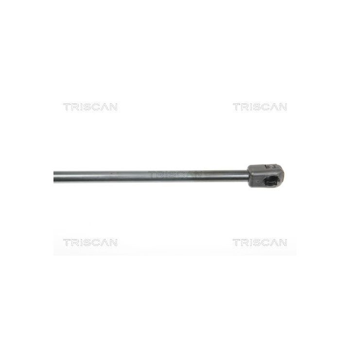 Dujinė spyruoklė, bagažinė TRISCAN 8710 25244