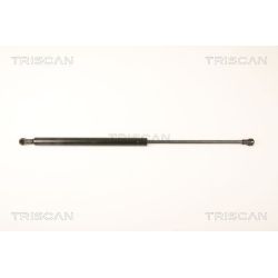 Dujinė spyruoklė, bagažinė TRISCAN 8710 25245