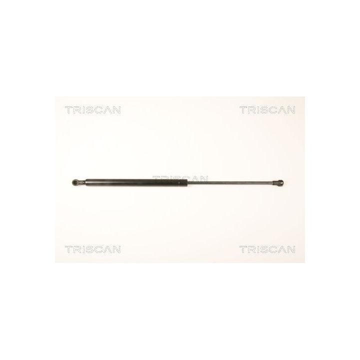 Dujinė spyruoklė, bagažinė TRISCAN 8710 25245