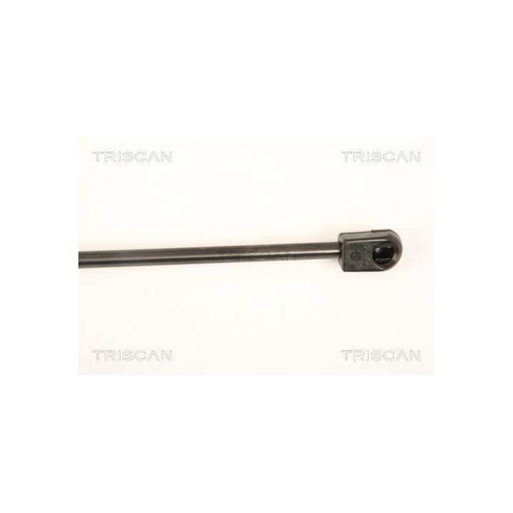 Dujinė spyruoklė, bagažinė TRISCAN 8710 25250