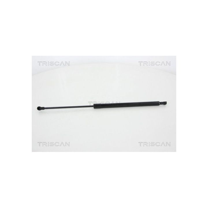 Dujinė spyruoklė, bagažinė TRISCAN 8710 25255