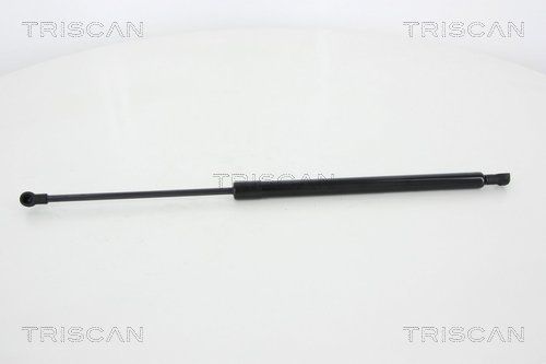 Dujinė spyruoklė, bagažinė TRISCAN 8710 25255