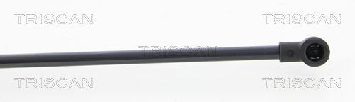 Dujinė spyruoklė, bagažinė TRISCAN 8710 25256