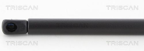 Dujinė spyruoklė, bagažinė TRISCAN 8710 25259