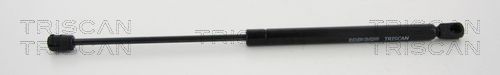 Dujinė spyruoklė, bagažinė TRISCAN 8710 25263