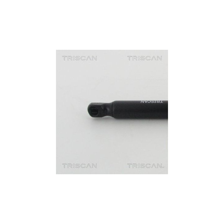 Dujinė spyruoklė, bagažinė TRISCAN 8710 25267