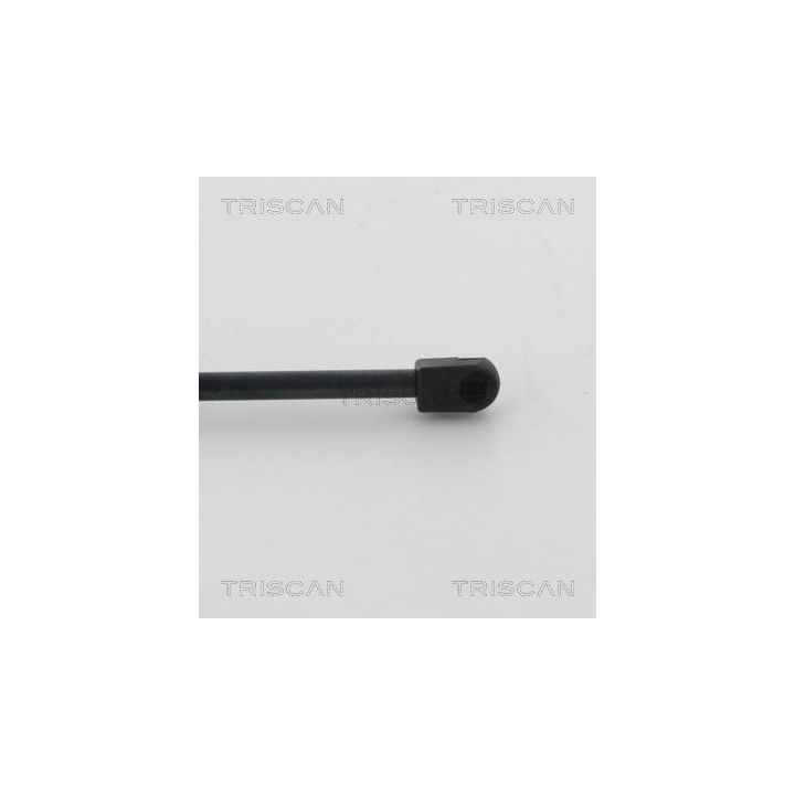 Dujinė spyruoklė, bagažinė TRISCAN 8710 25267