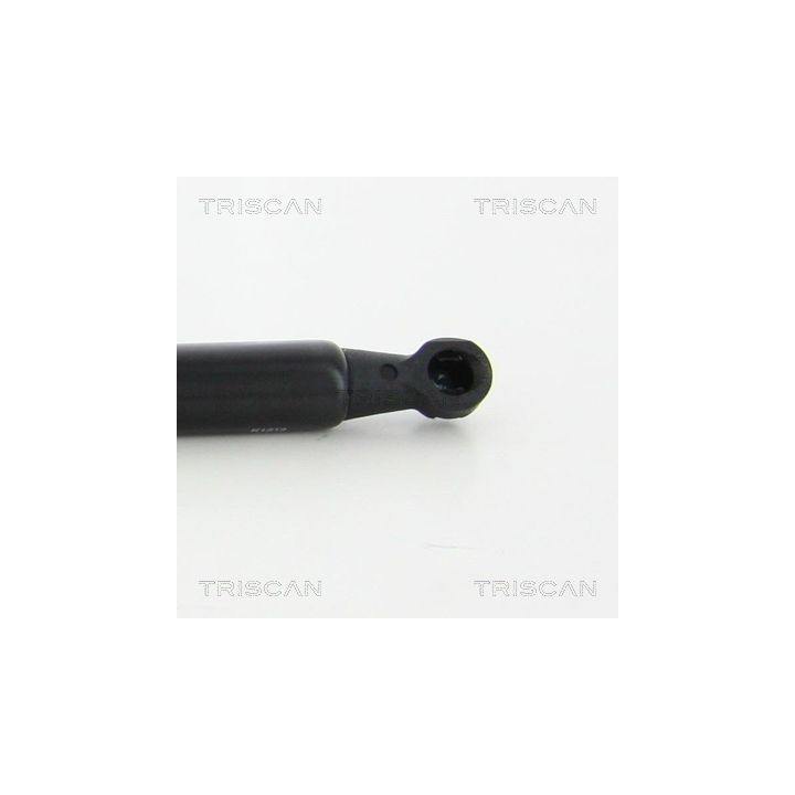 Dujinė spyruoklė, bagažinė TRISCAN 8710 25268