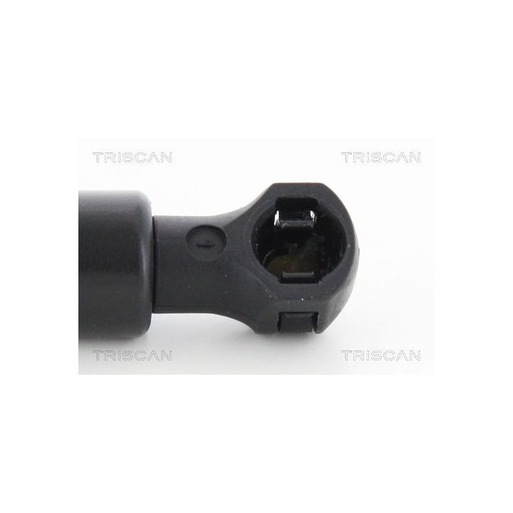 Dujinė spyruoklė, bagažinė TRISCAN 8710 25272