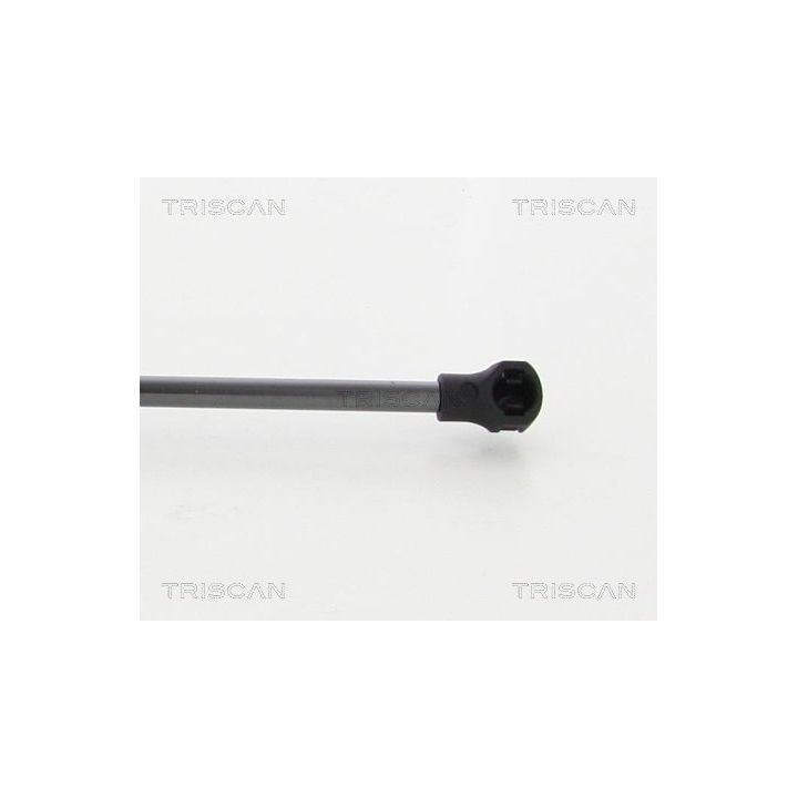 Dujinė spyruoklė, bagažinė TRISCAN 8710 25273