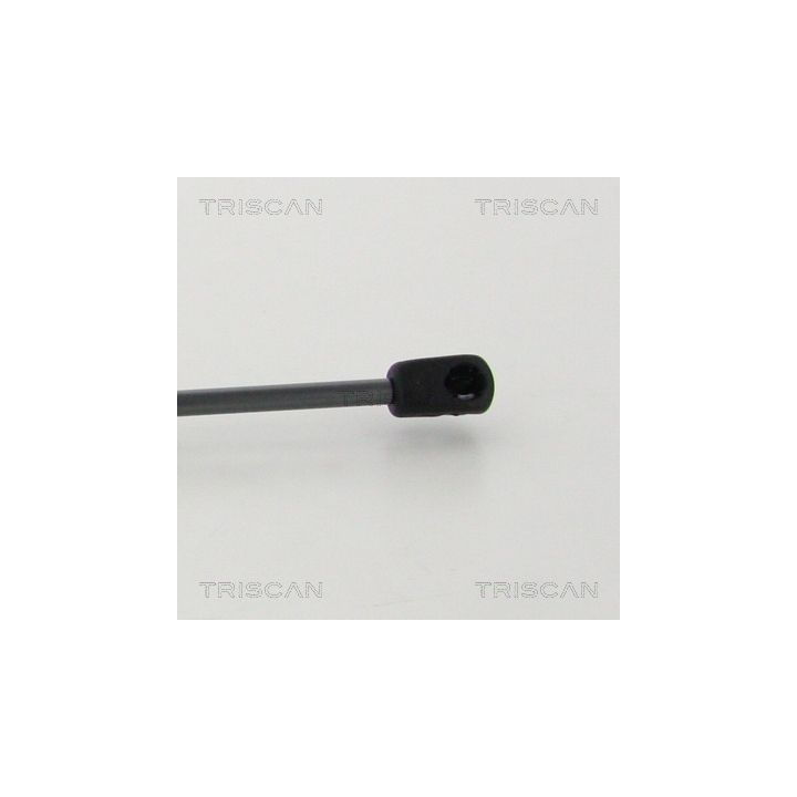 Dujinė spyruoklė, bagažinė TRISCAN 8710 25274