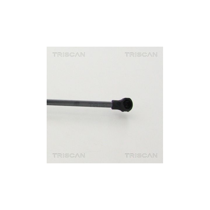 Dujinė spyruoklė, bagažinė TRISCAN 8710 25277