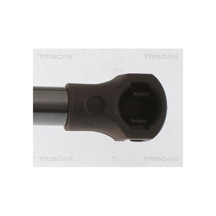 Dujinė spyruoklė, bagažinė TRISCAN 8710 25279