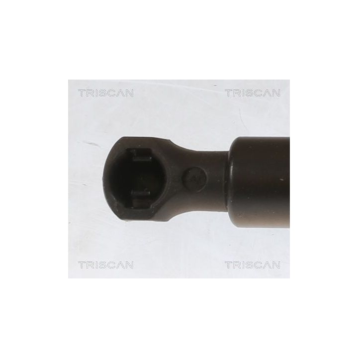 Dujinė spyruoklė, bagažinė TRISCAN 8710 25281