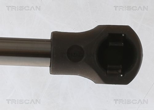 Dujinė spyruoklė, bagažinė TRISCAN 8710 25281