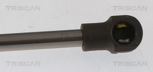 Dujinė spyruoklė, bagažinė TRISCAN 8710 25282