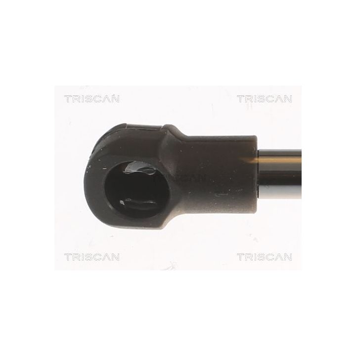 Dujinė spyruoklė, bagažinė TRISCAN 8710 25283