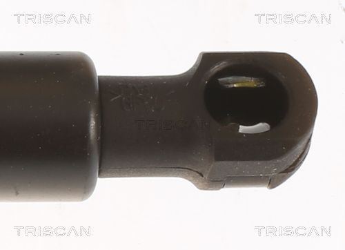 Dujinė spyruoklė, bagažinė TRISCAN 8710 25283