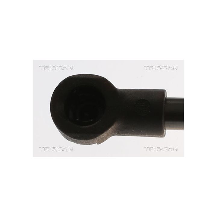 Dujinė spyruoklė, bagažinė TRISCAN 8710 25287