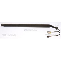 Dujinė spyruoklė, bagažinė TRISCAN 8710 27303