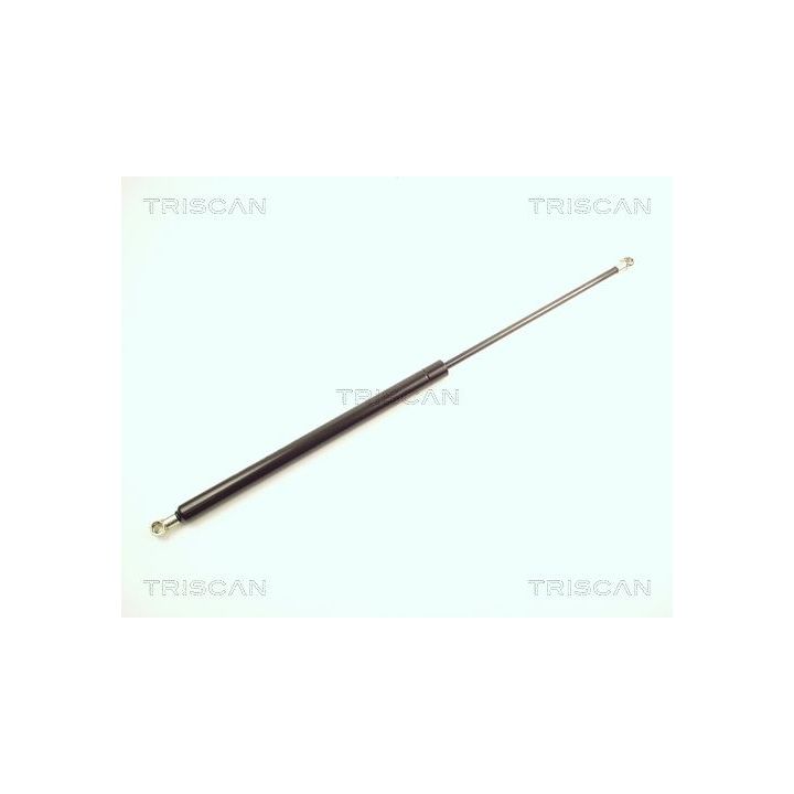 Dujinė spyruoklė, bagažinė TRISCAN 8710 28211